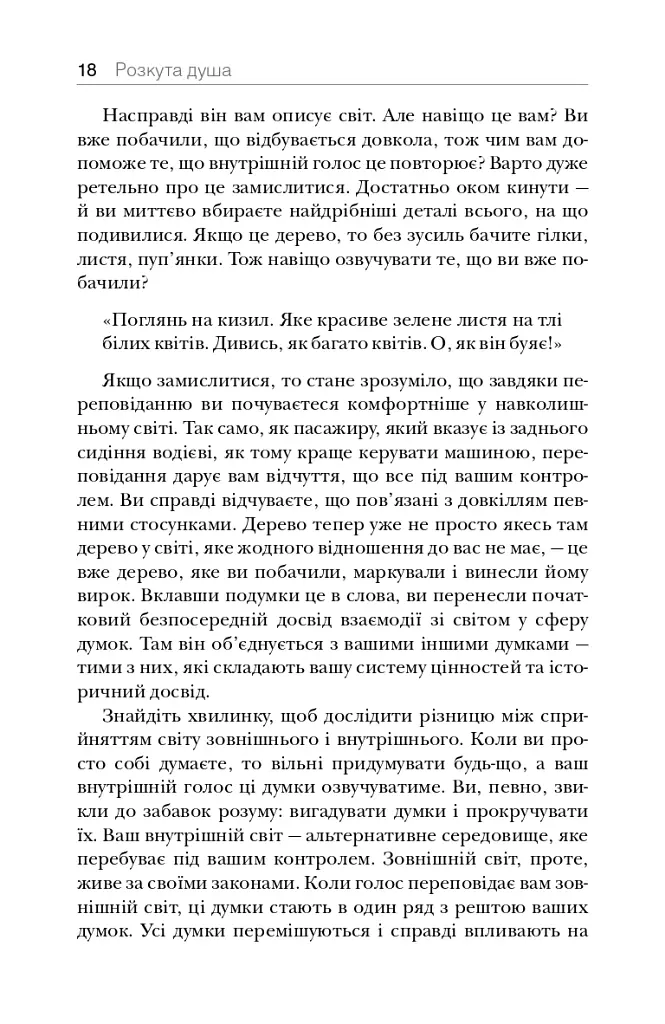 Розкута душа. Мандрівка поза власні межі - Майкл А. Сінгер - фото 9