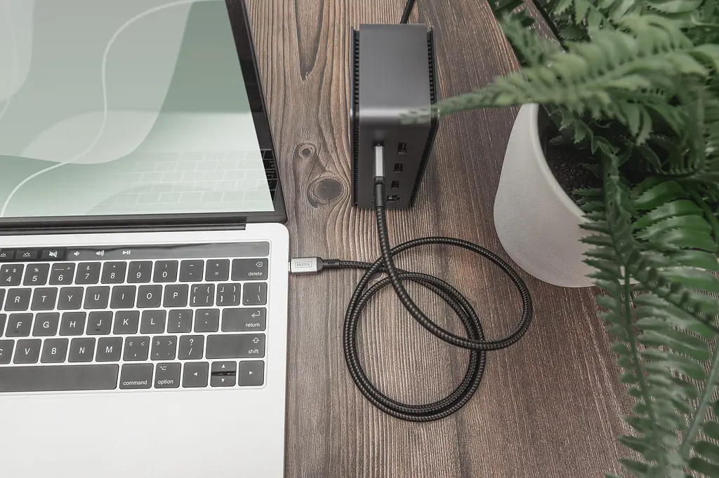 Кабель Digitus USB 4.0 (Type-C/Type-C) 3м, чорний teh0025056 - фото 5