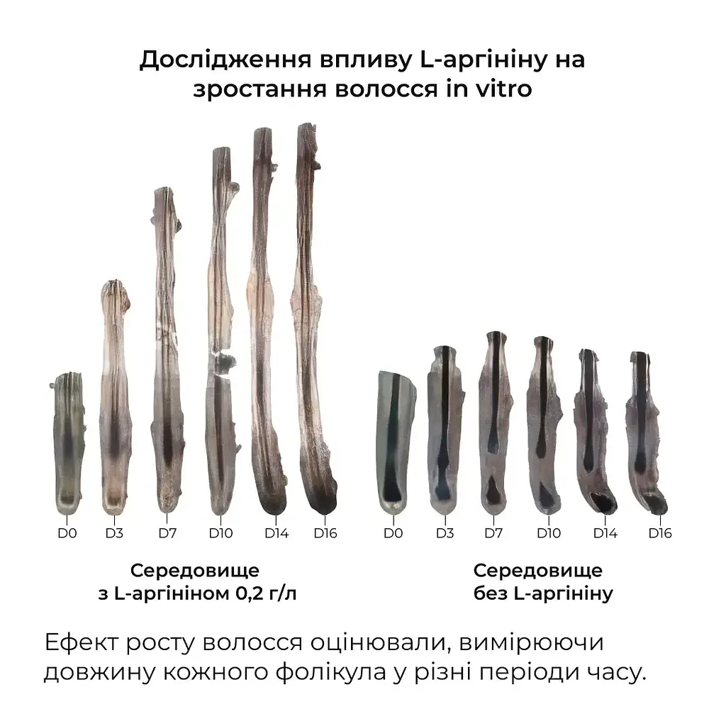 Маска Hillary Serenoa & РР Hair Loss Control проти випадіння волосся 200 мл - фото 7