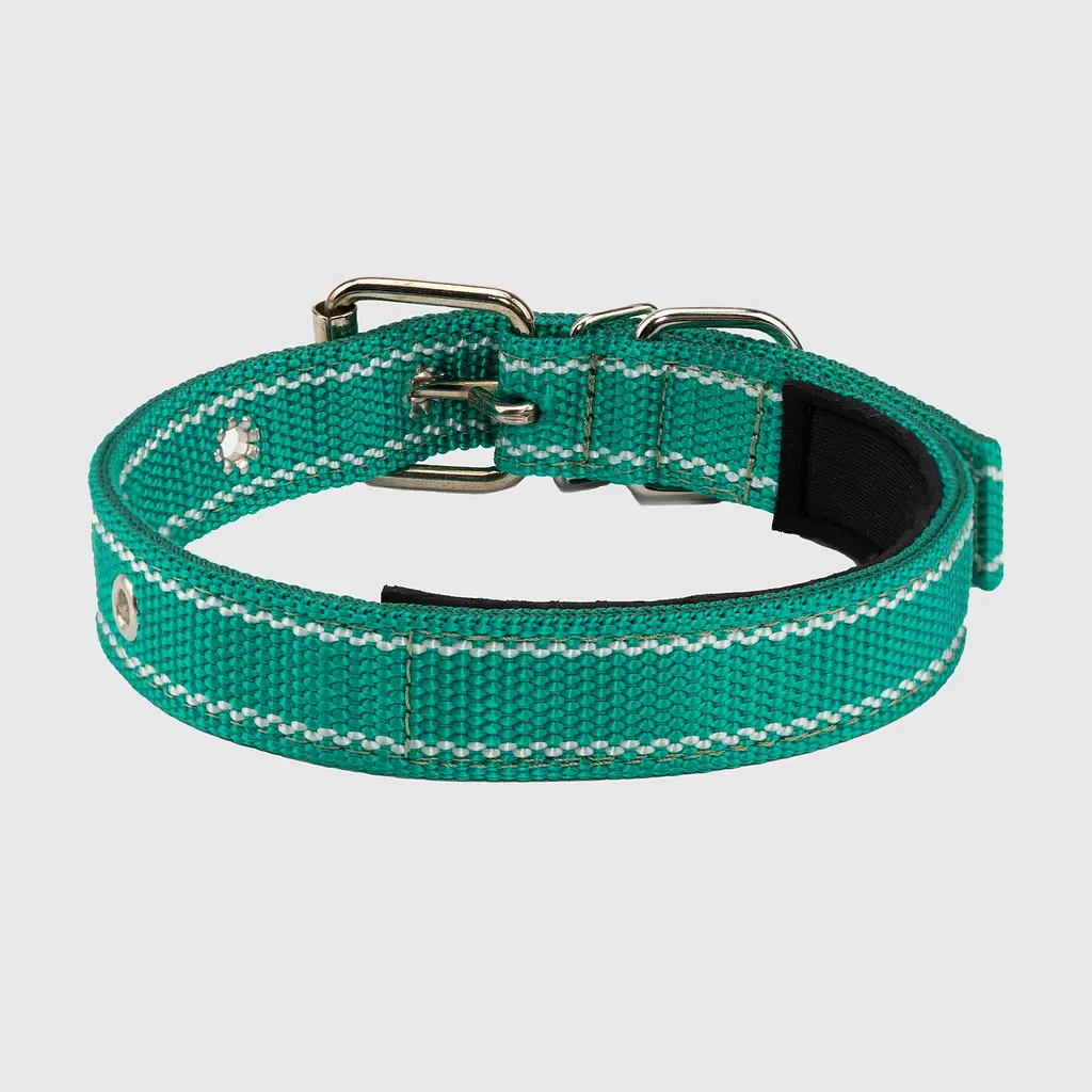 Нашийник Бірюзовий 25мм Поліпропілен HIDOG 323 (2000990067890A)(SN) shop (2000990067890) - фото 2