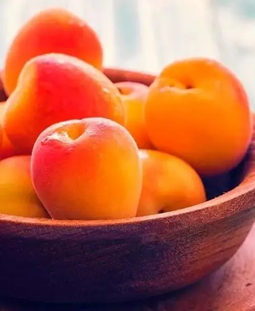 Саджанець Agro-Market Абрикос Ерлі Оранж (літній сорт, ранній термін дозрівання) (21280) 1 шт. в упаковці - фото 6