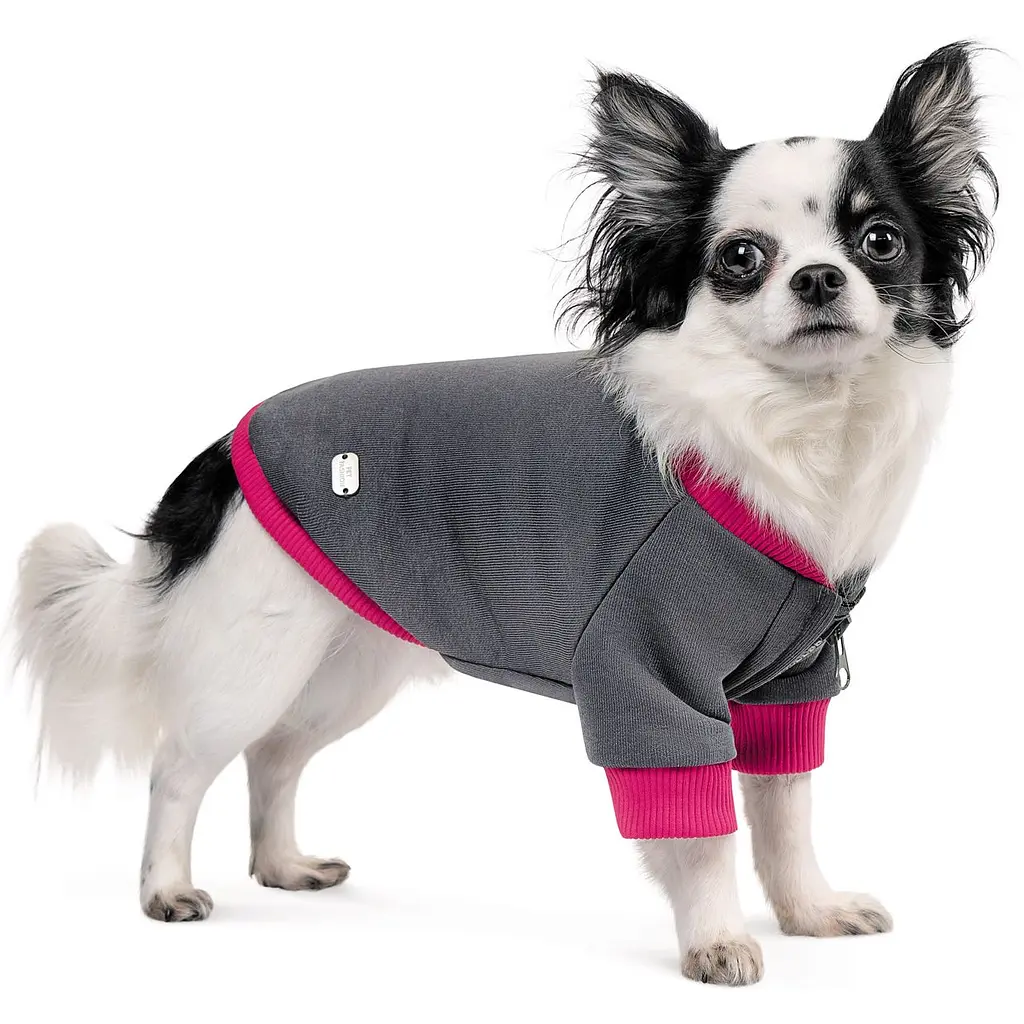 Толстовка Pet Fashion Bim XS сіра - фото 2