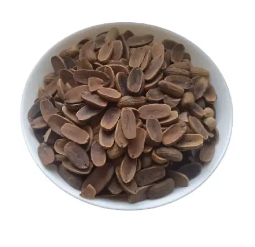 Жолудь Quercus robur - фото 2
