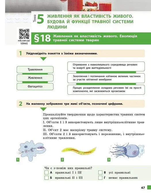 Біологія. 8 клас. Робочий зошит до підручника Ольги Тагліної - фото 12