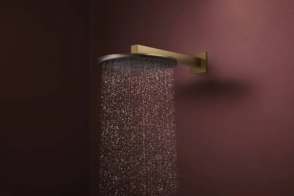 Верхній душ Hansgrohe Raindance Alive S 300 2jet EcoSmart з тримачем brushed bronze 24541140 - фото 2