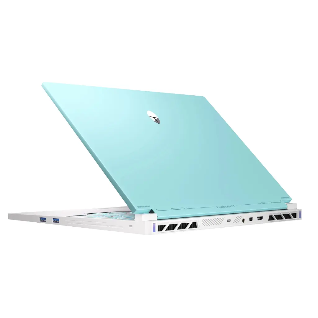 Ноутбук Thunderobot RS16 (RS16-I9139HX56E1Q240ARC) - фото 5