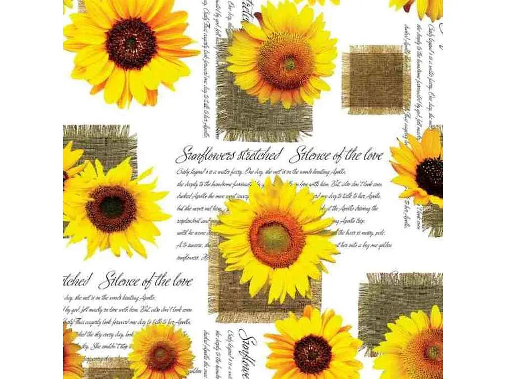 Клейонка DARIANA ПВХ на нетканній основі 1,35м х 25м 0,25мм D588