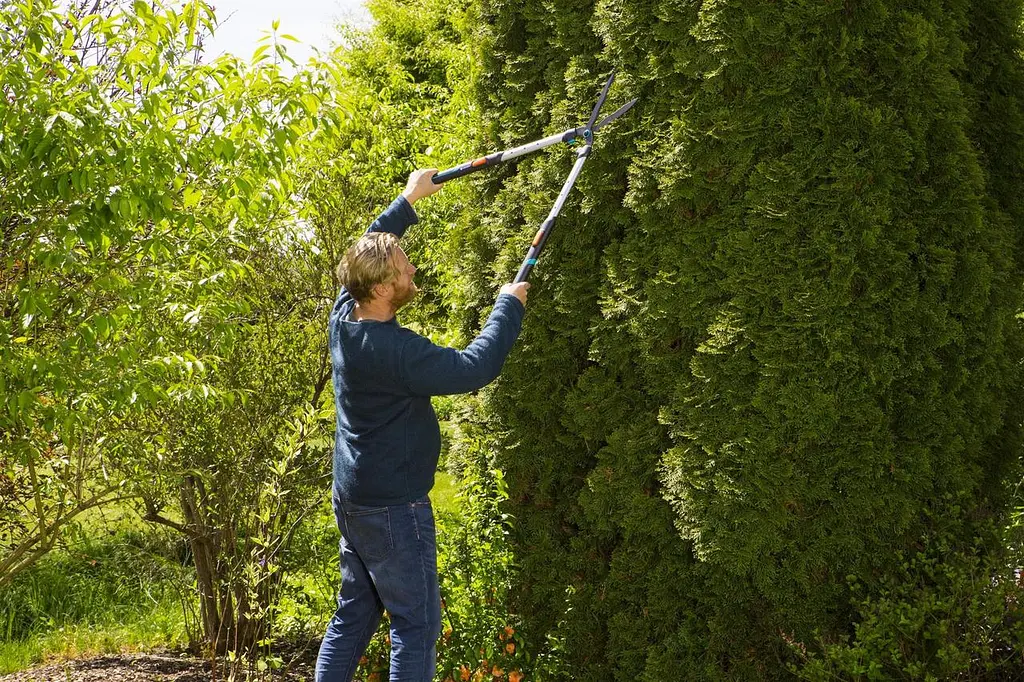 Ножиці для живоплоту Gardena TeleCut телескопічні (12304-20.000.00) - фото 7