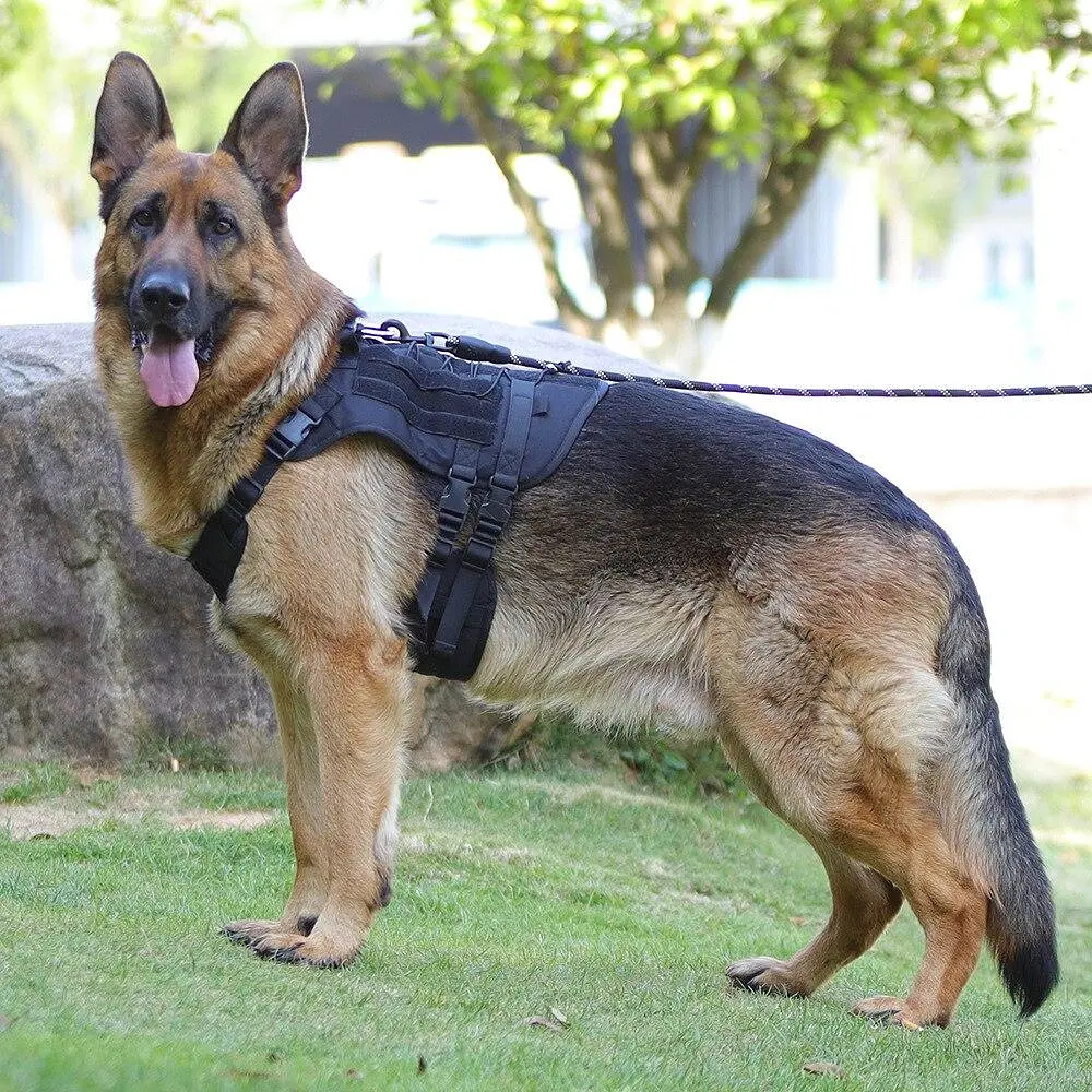 Шлейка для собак Vest, тактичний жилет з ручкою і системою MOLLE, регульований, Чорний S - фото 6