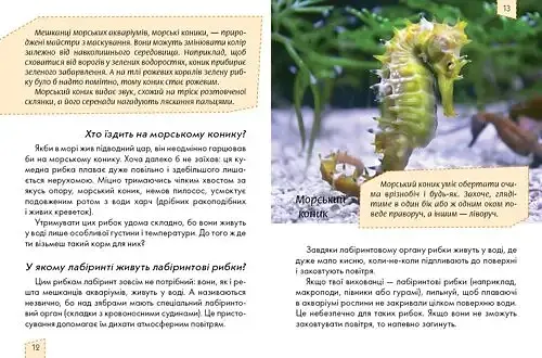 Енциклопедія для допитливих. Домашні улюбленці - Ганна Тетельман - фото 4