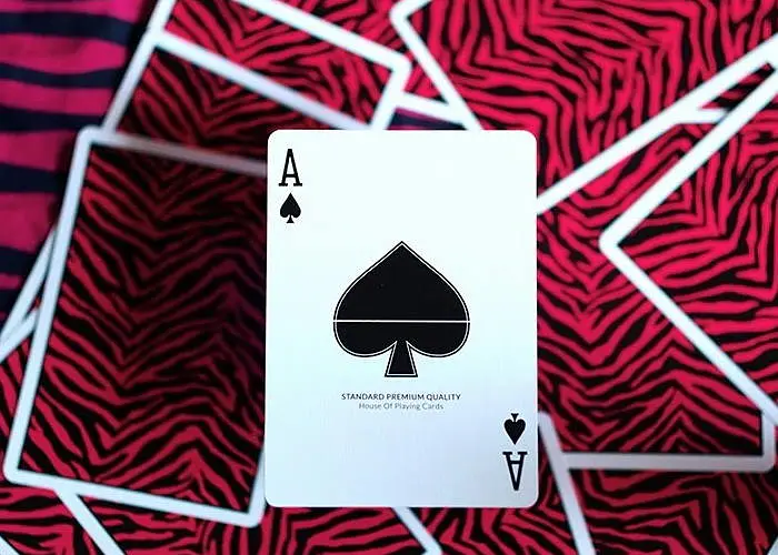 Карты игральные United States Playing Card Company Noc MYNOC 006 (Tiger) (PC_NM006) - фото 3