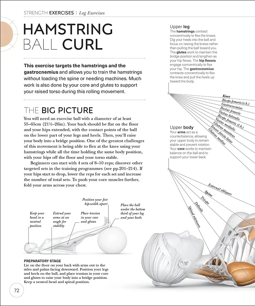 Science of Strength Training - фото 6