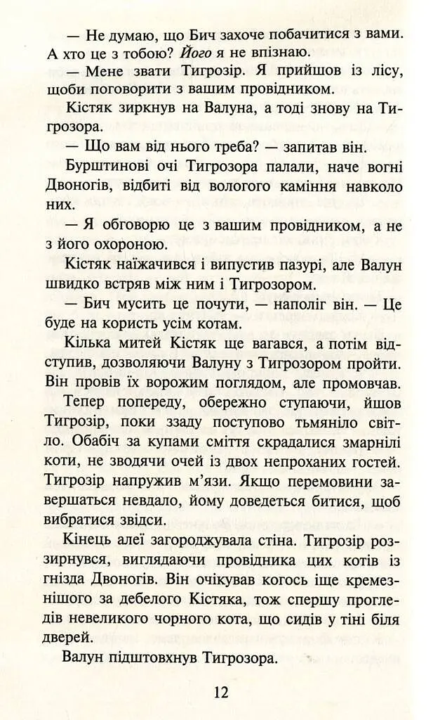 Коти-Вояки. Темні часи - фото 5