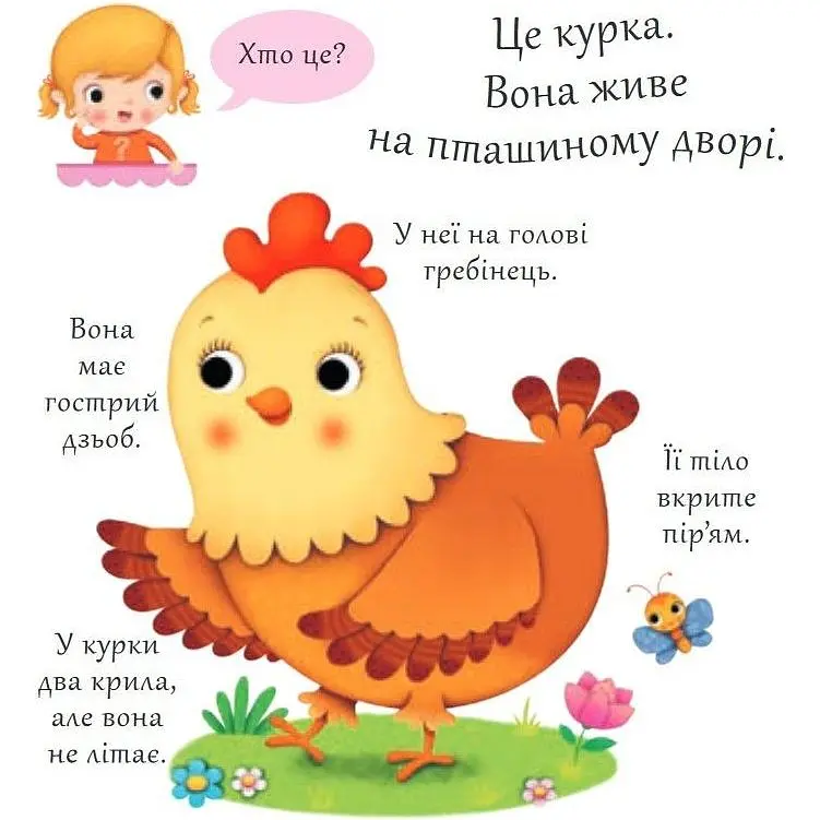 Книжка-картонка Богдан Хто це? Кури - Бомон Емілія та Беліно Наталя (978-966-10-5140-8) - фото 2