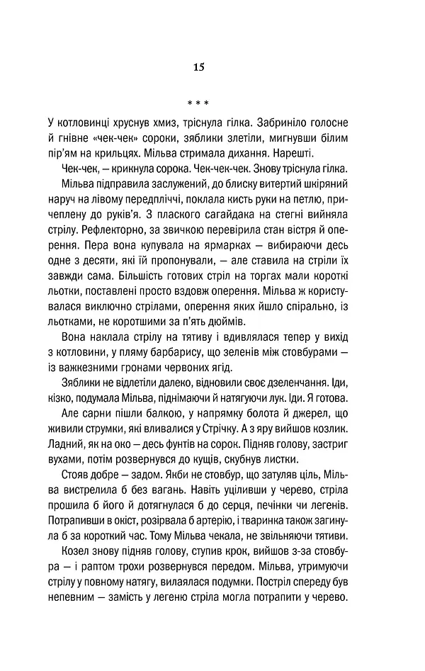 Відьмак. Хрещення вогнем. Книга 5 - Анджей Сапковський - фото 13