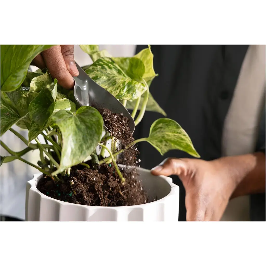 Набір інструментів Fiskars Plant Care для догляду за ґрунтом 3 предмети (1080777) - фото 2
