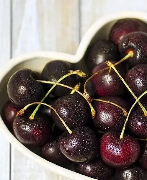 Саджанець Agro-Market Вишня Відродження (літній сорт, ранній термін дозрівання) (35902) 1 шт. в упаковці - фото 4