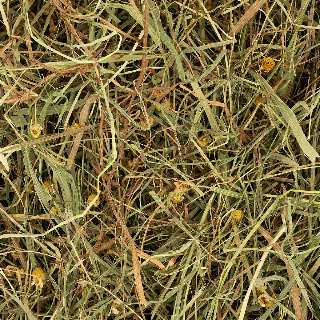 Сіно для гризунів Deli Nature Rodelicious Herbal Hay Chamomile & Mint з ромашкою та м`ятою 600 г 21361 - фото 2