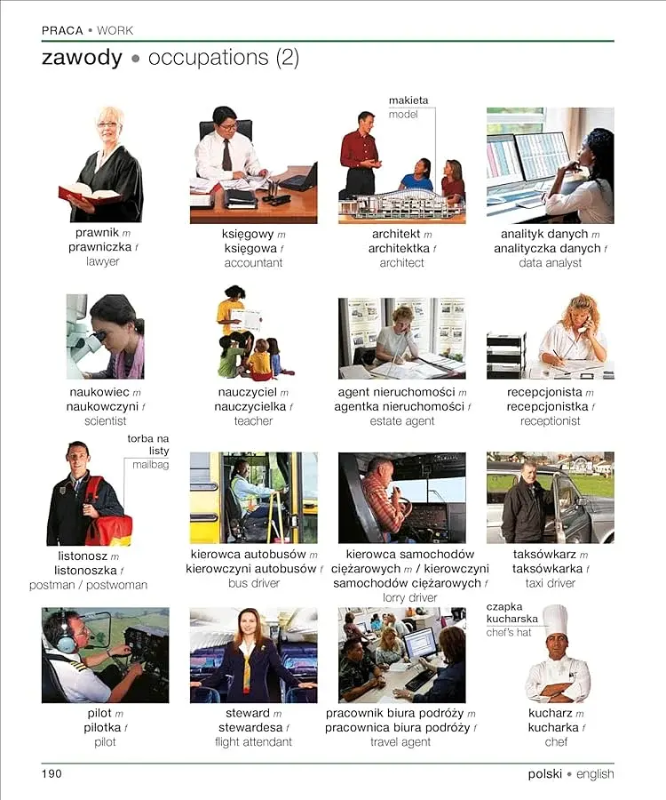 Polish English Bilingual Visual Dictionary - фото 10
