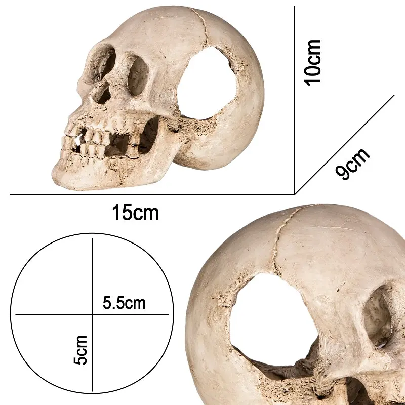 Декорація череп людини Terrario Human Skull XL 15x10x9см (161012) - фото 2