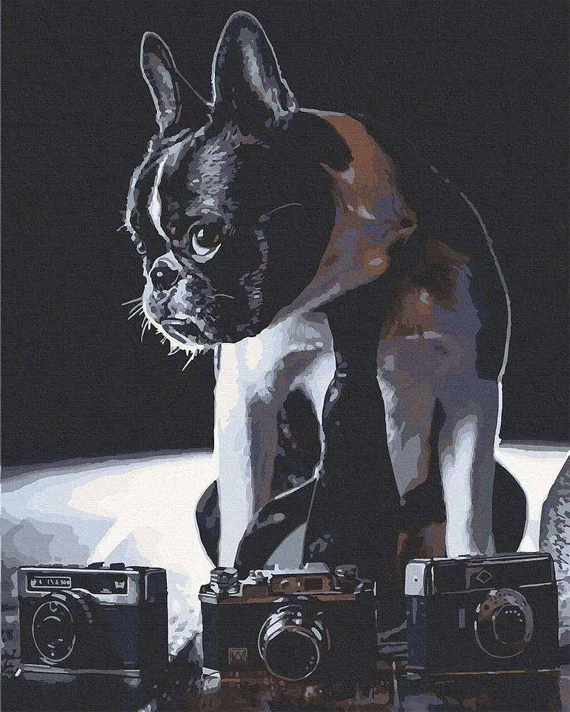Картина за номерами ART CRAFT Сором'язливий фотограф 40x50 см Різнокольоровий (PM-194-K-275)