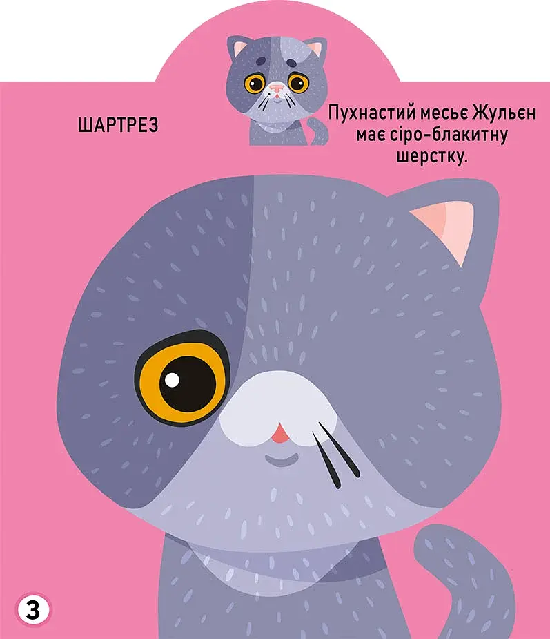 Грайка-розвивайка. Котики. 69 великих наліпок - фото 4