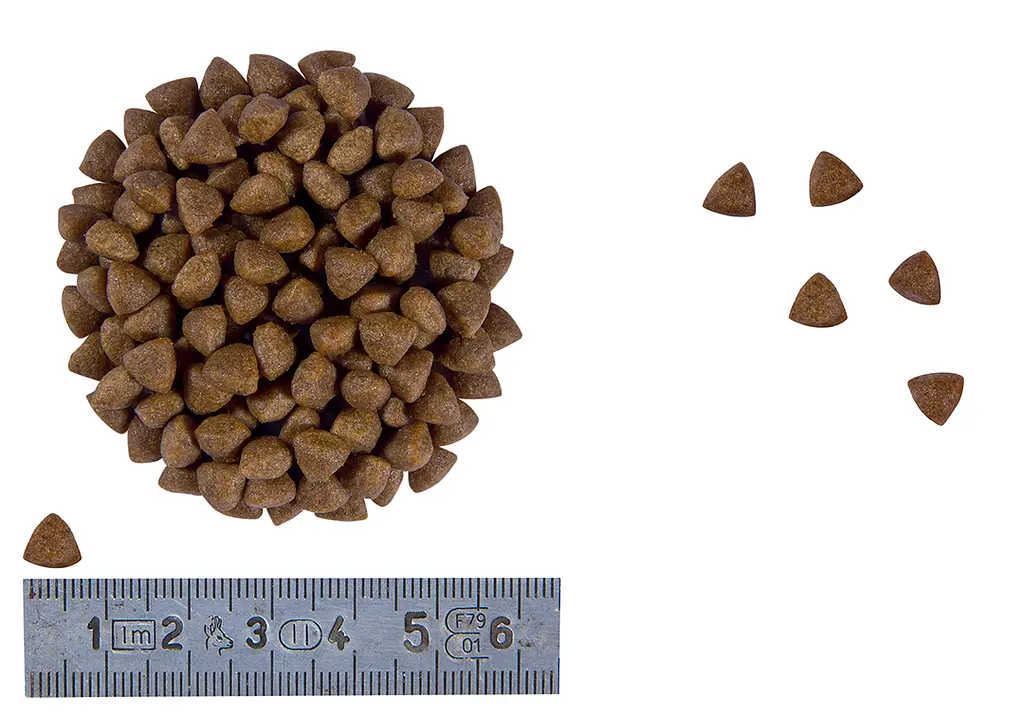Сухий дієтичний корм для кошенят Royal Canin Gastrointestinal Kitten при порушенні травлення, 2 кг (1228020) - фото 3