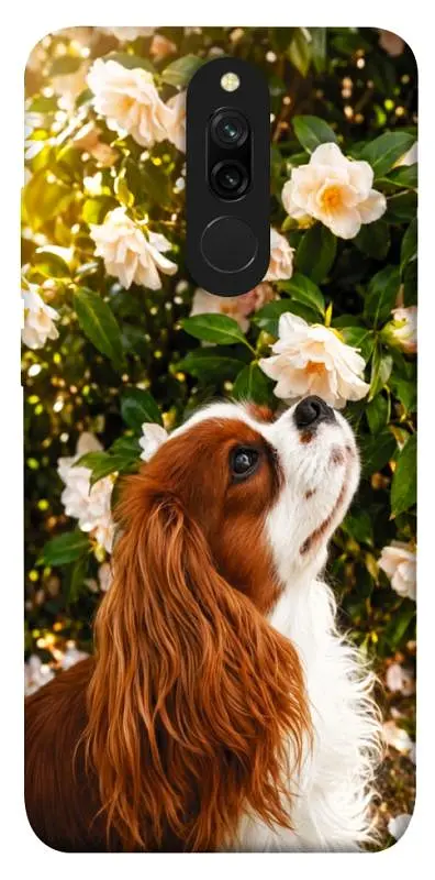 TPU чохол Demsky Flower spaniel для Xiaomi Redmi 8