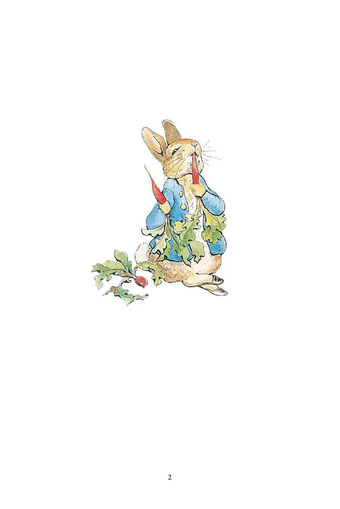 Peter Rabbit 23-Volume Library Collection - Беатрікс Поттер - фото 5