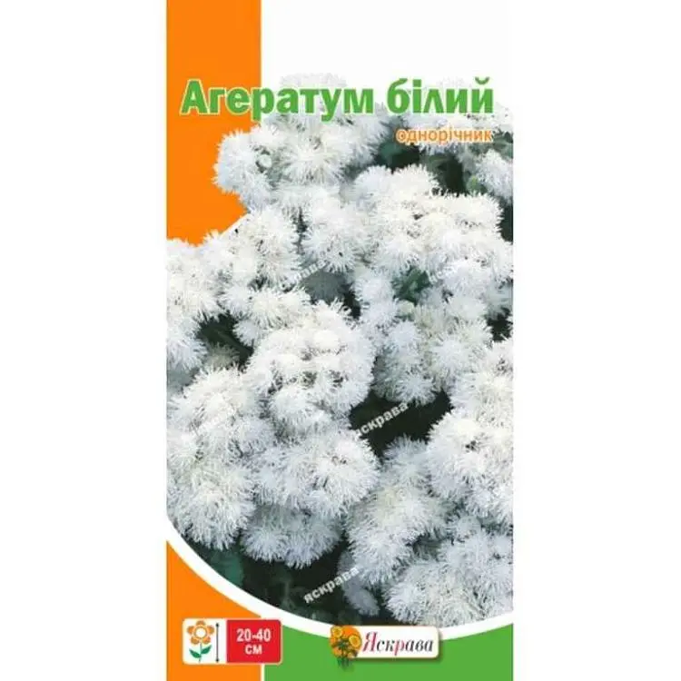 Агератум ЯСКРАВА бiлий (20 пачок) 0,1г