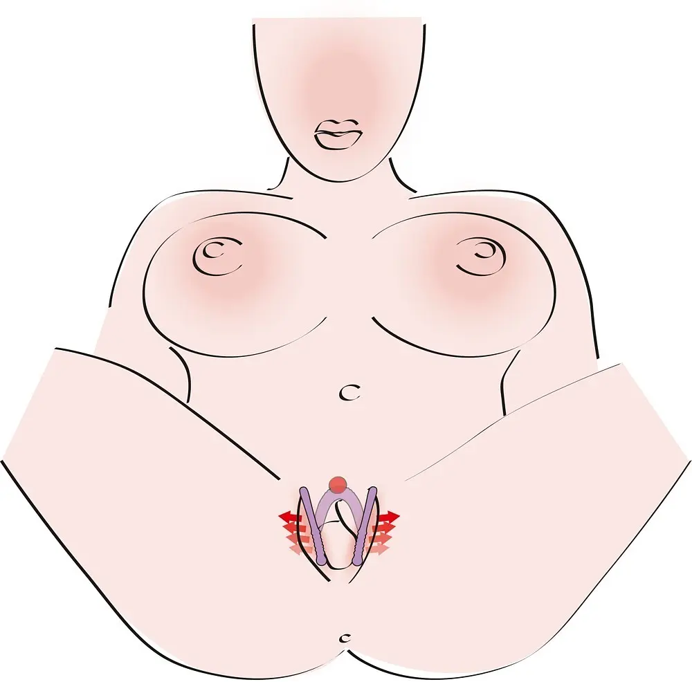Стимулятор G-точки G-spot Labia Spreader - фото 3