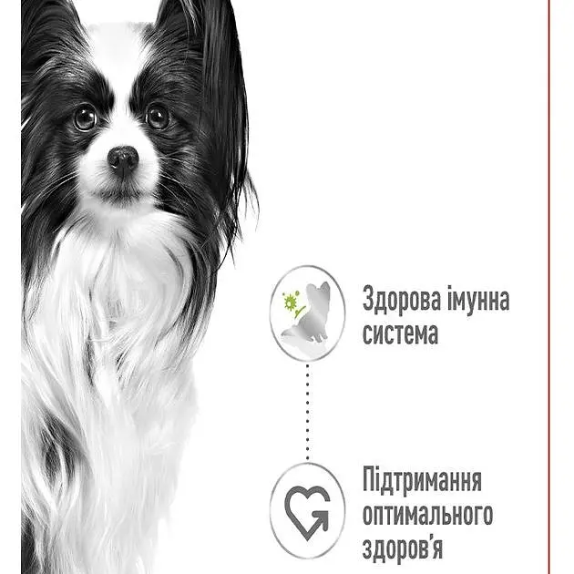 Влажный корм для взрослых собак миниатюрных размеров Royal Canin X-Small Adult кусочки в соусе 85 г - фото 2