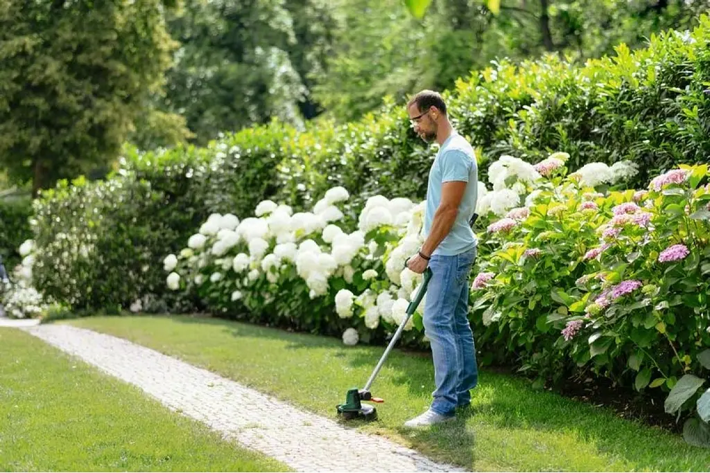 Тример садовий акумуляторний UniversalGrassCut 18V-260 1х2.5А·год 26см 2.3кг Bosch sad0001996 - фото 6