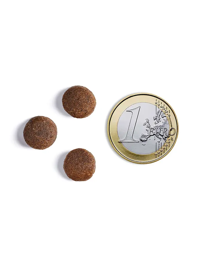 Уцінка. Корм сухий Ambrosia Grain Free Dog Adult Fresh Venison & Lamb для дорослих собак усіх порід зі свіжою олениною та ягням 2 кг 16.10.26 - фото 5