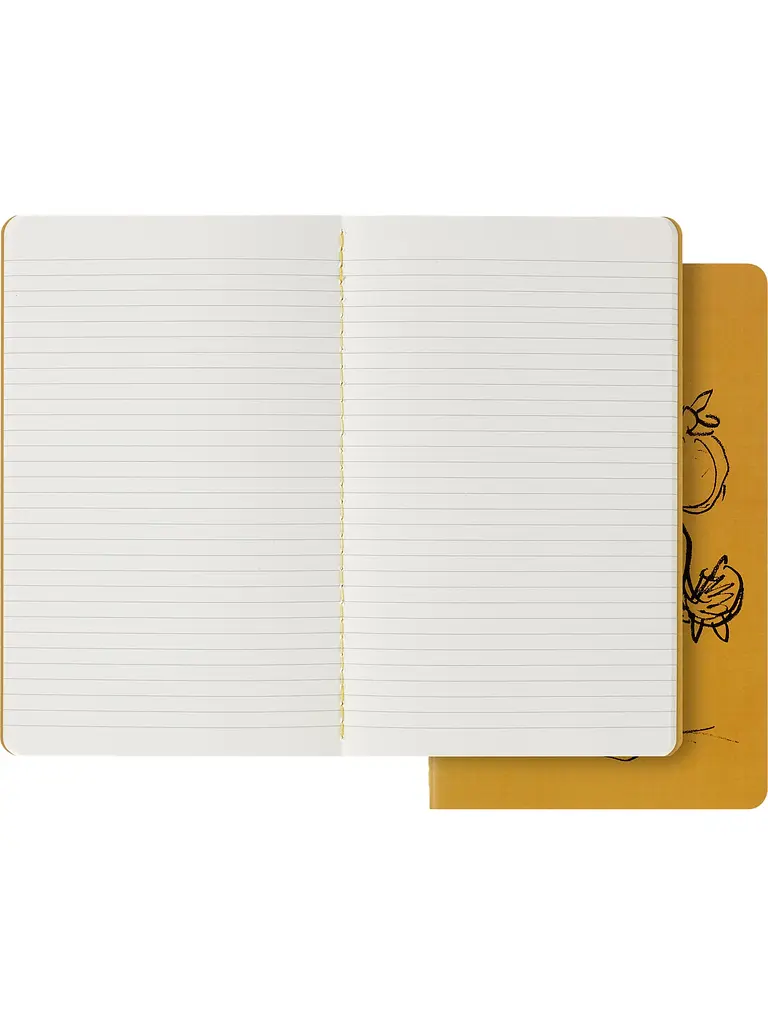 Записник Moleskine Cahier Van Gogh середній, Лінійка (SKQP316VANGOGH) - фото 2