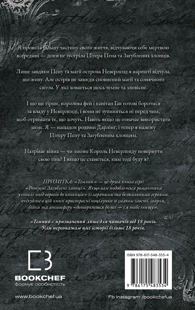 Розпусні загублені хлопці. Темний. Книга 2 - фото 4