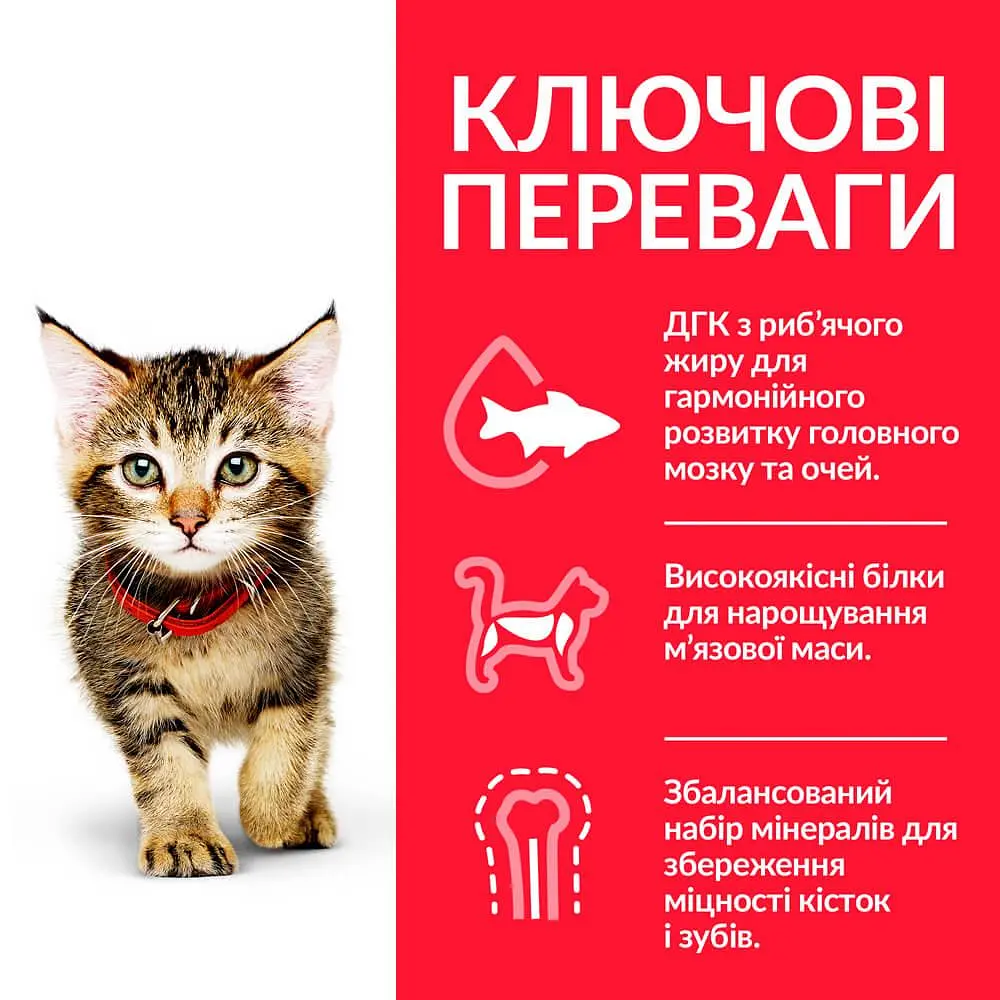 Сухий корм Hill's SP Kitten для котят та кішок у період вагітності та лактації з тунцем Вага: 0.3 кг - фото 2
