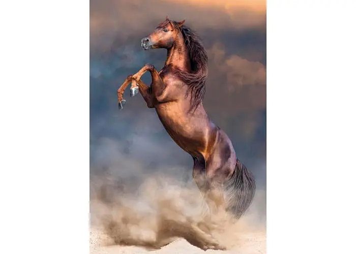 Пазл Clementoni High Quality Collection: Дикий рудий кінь (High Quality Collection - Wild Red Stallion Puzzle - 500 pcs.), 500 ел. (35595) - фото 2