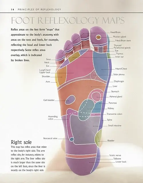 Reflexology - фото 2