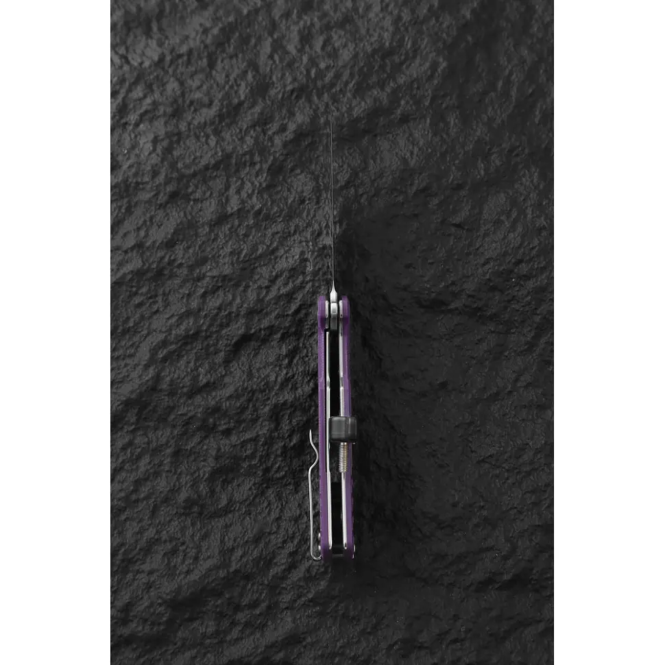 Ніж складаний Ganzo G769-PL - фото 9