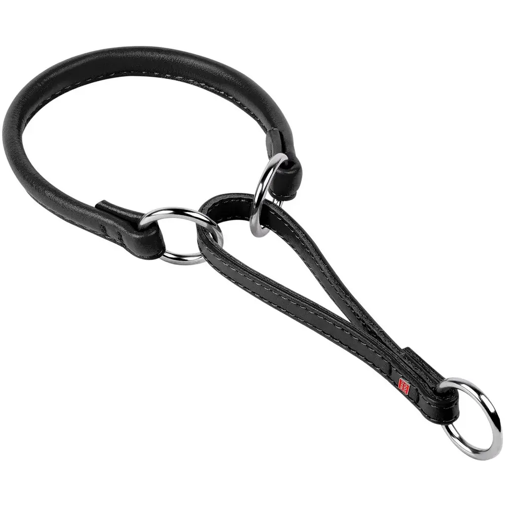 Нашийник-зашморг Waudog Glamour з QR паспортом (4823089302119) - фото 1