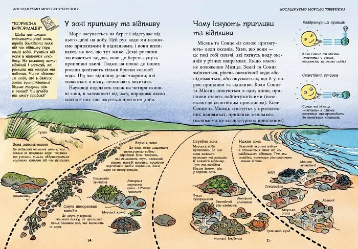 Книга Ранок Стежками природи. Океанічні й морські узбережжя - Сара Кортольд (С791002У) - фото 8