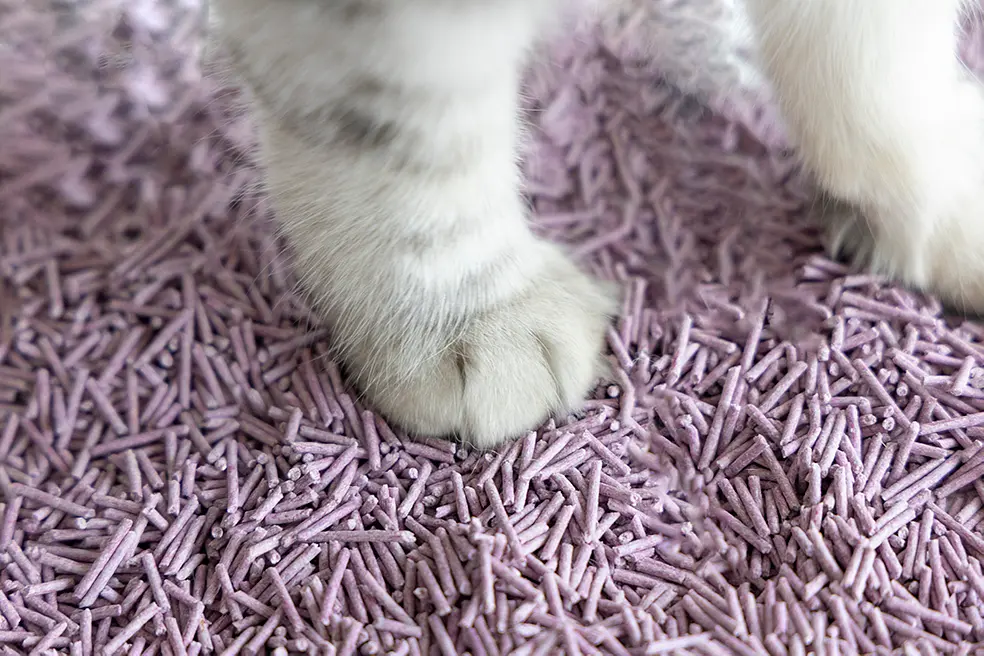 Біорозкладний наповнювач для котячих туалетів UniQ PETS Cat Litter Tofu Lavender 5 кг - фото 7