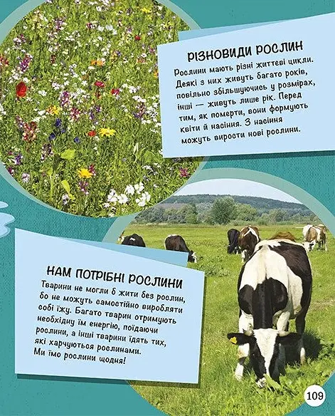 Енциклопедія юних розумників - Ненсі Дікманн - фото 18