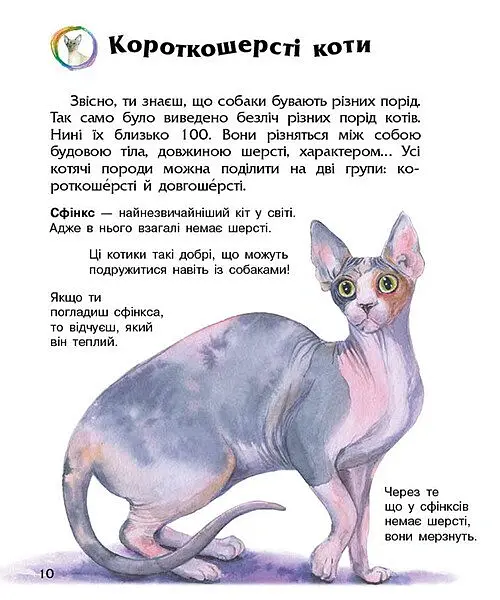 Коти. Енциклопедія дошкільника - Юлія Каспарова - фото 2