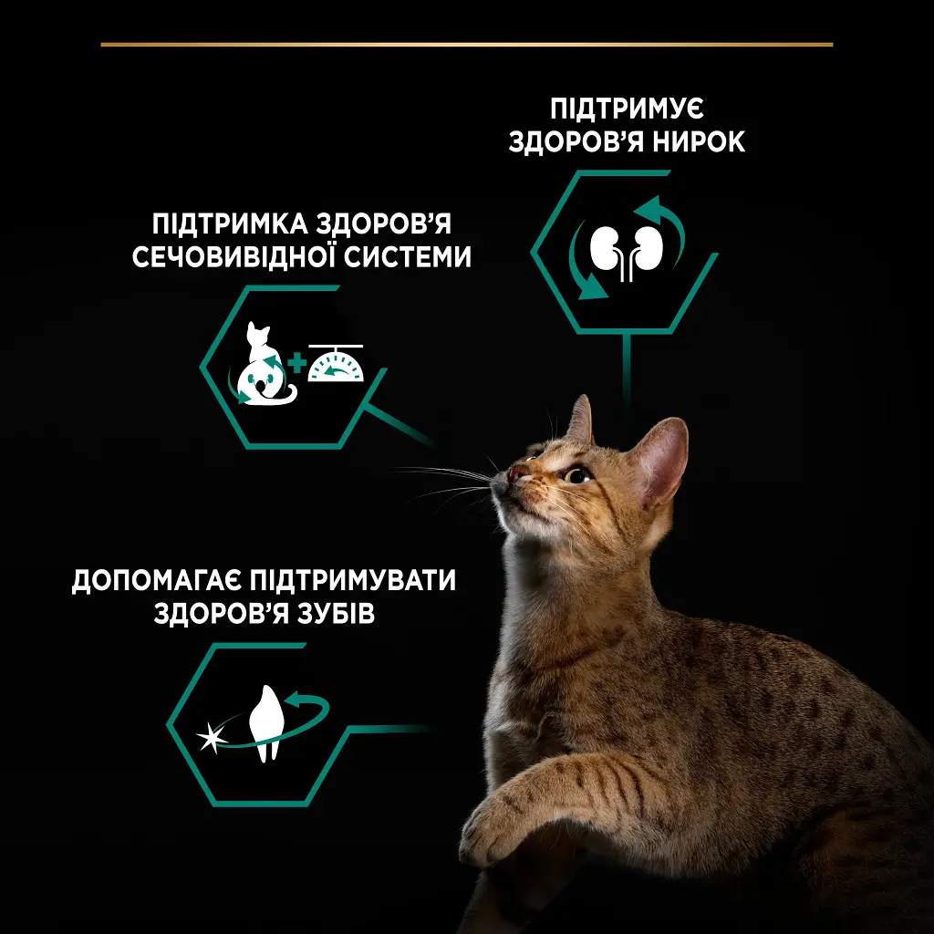 Сухий корм для стерилізованих котів Purina Pro Plan Sterilised Adult 1+ Renal Plus з індичкою 1.5 кг (12369074) - фото 4