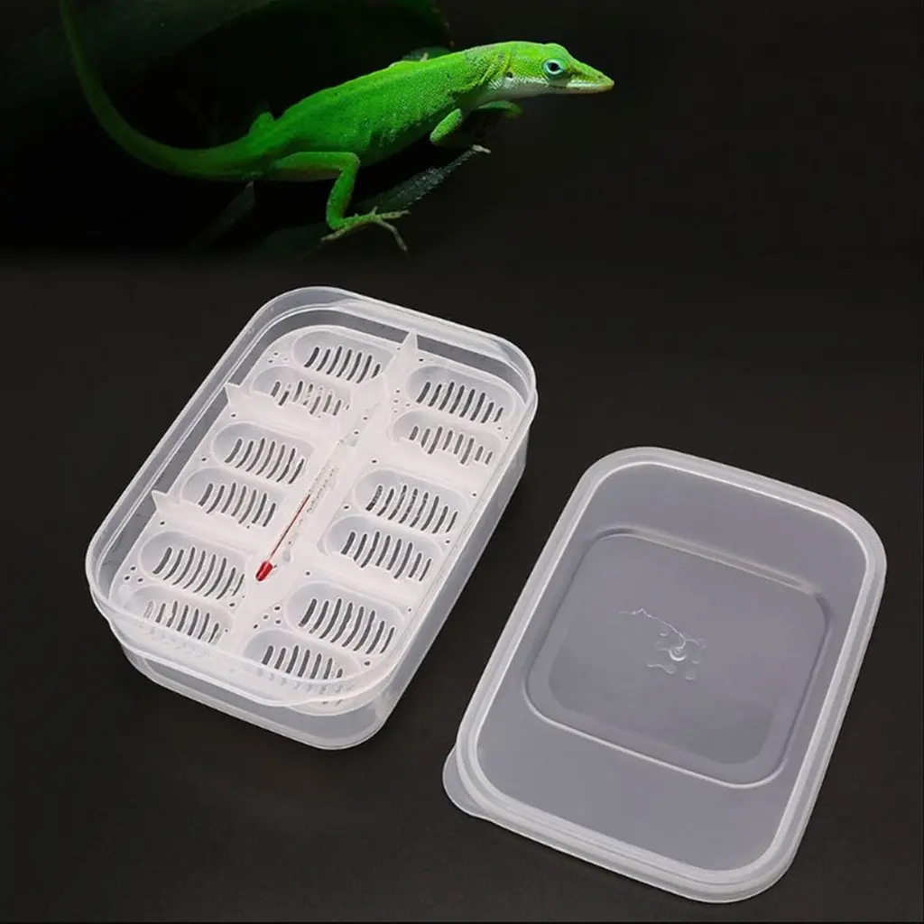 Інкубатор пластиковий Terrario EggIncubator на 12 яєць для рептилій і дрібних птахів - фото 6