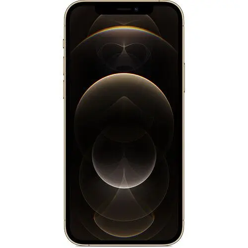 Смартфон Apple iPhone 12 Pro Max 512Gb Gold [MGDK3] [50895] - фото 2