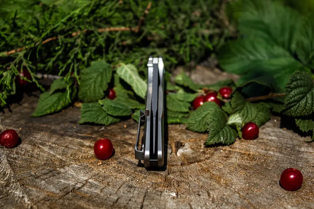 Ніж складаний туристичний Ruike P135-SF, (9.2 см) 14C28N / steel 420 сірий - фото 20