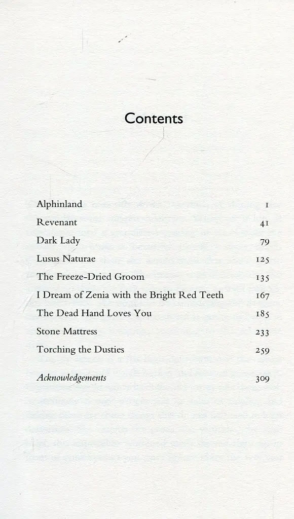 Stone Mattress: Nine Wicked Tales - фото 2